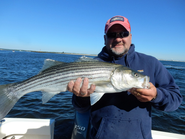 Newburport striped bass caught by Mark